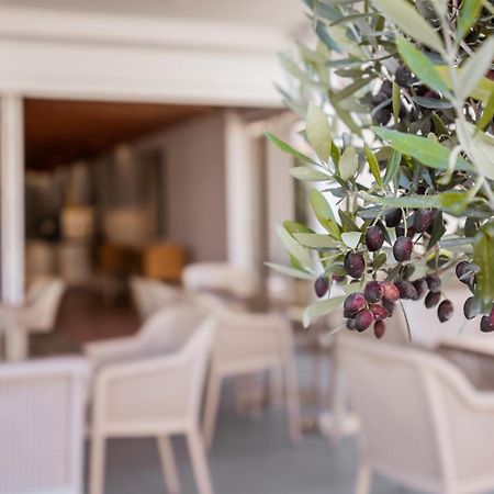 Paul Marie Hotel Apartments Ajía Nápa Eksteriør bilde