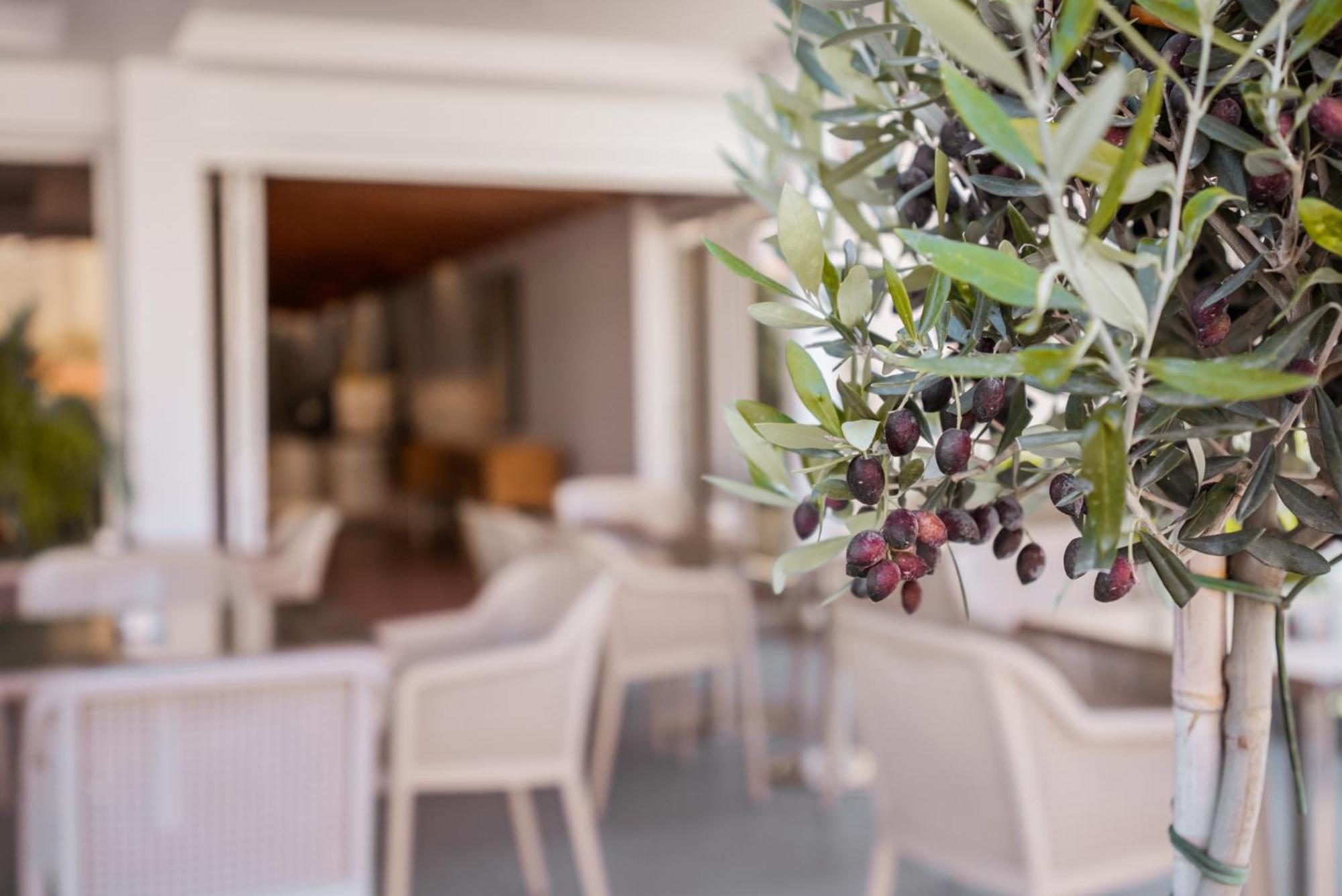 Paul Marie Hotel Apartments Ajía Nápa Eksteriør bilde